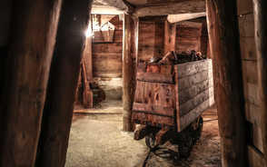 Museum Item Image
